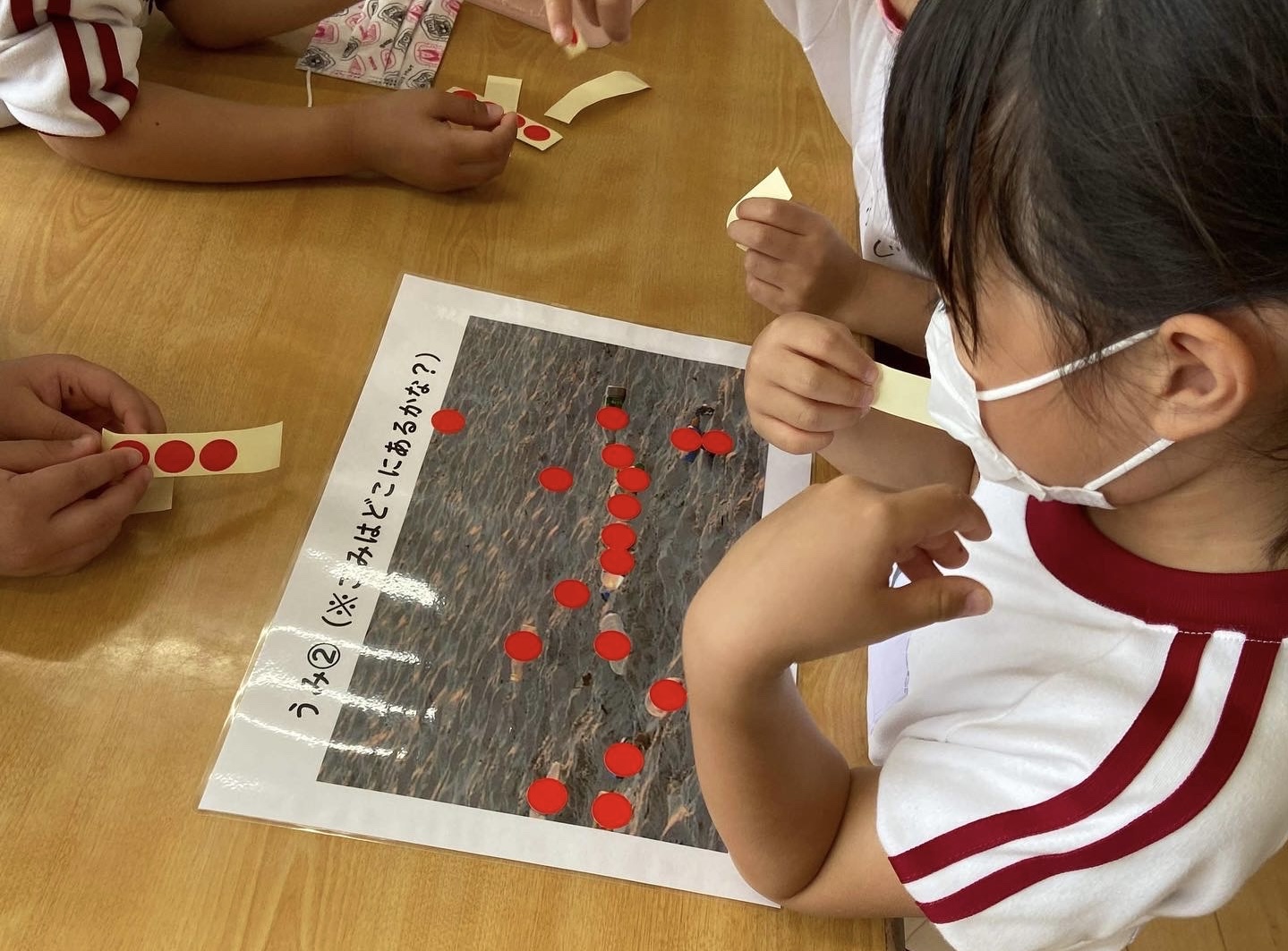 恵水幼稚園SDGs保育　海と日本Project